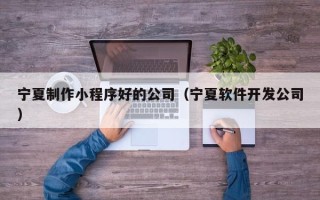 巨野宁夏制作小程序好的公司（宁夏软件开发公司）